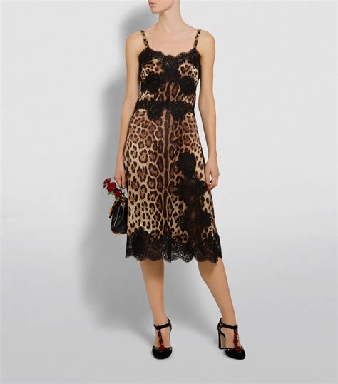 dolce gabbana leopard print shoes|dolce and gabbana leopard print dress.